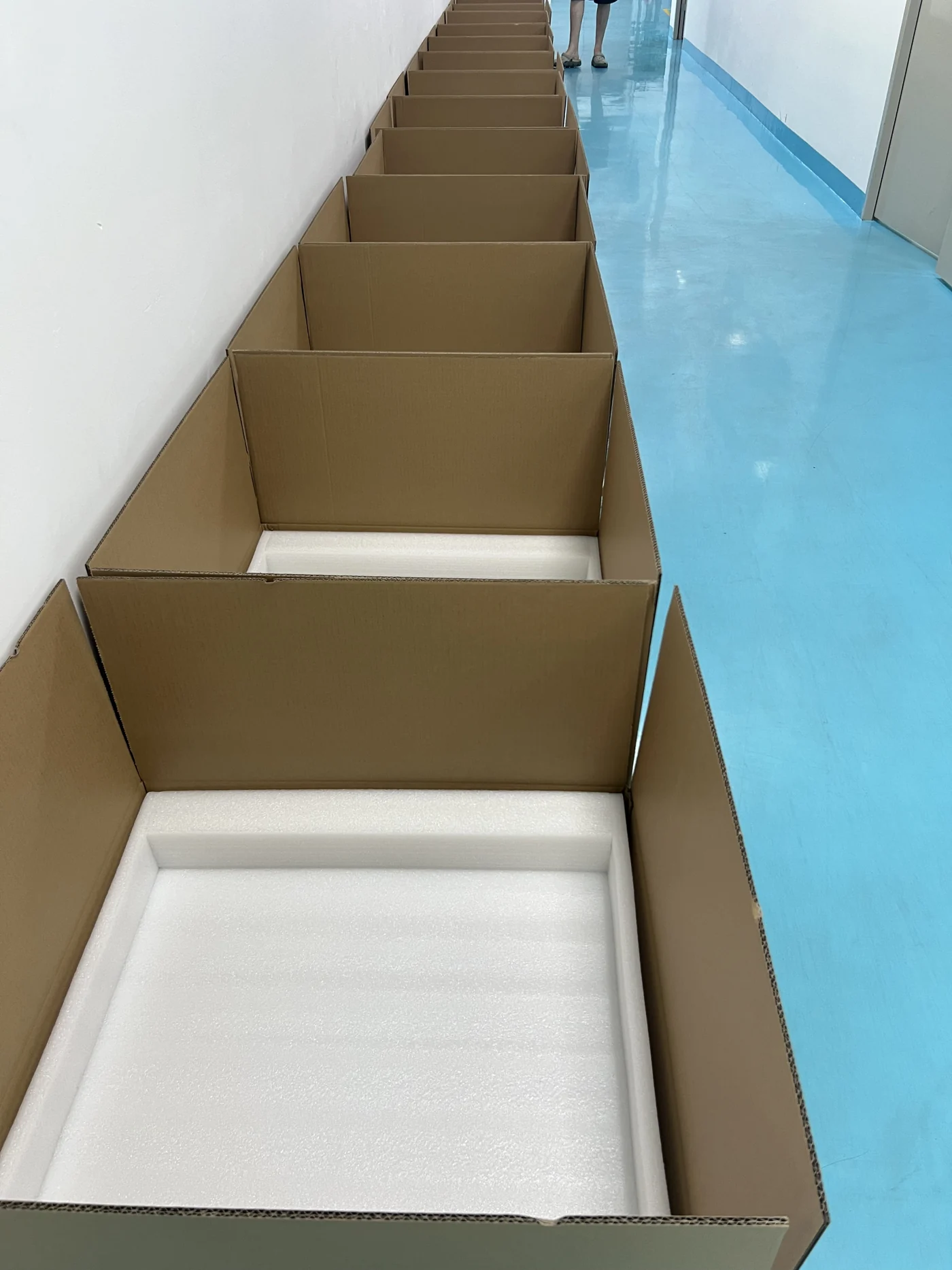 Cartons and foam separators prepared for packing